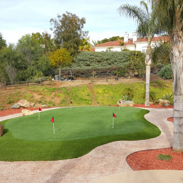 Backyard Putting Green