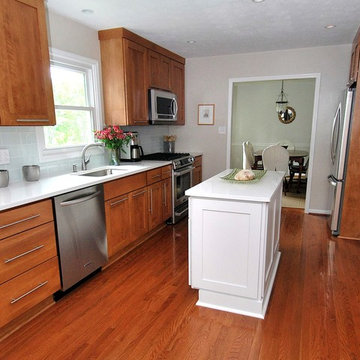 Kitchen Remodel (transitional)- Chantilly VA