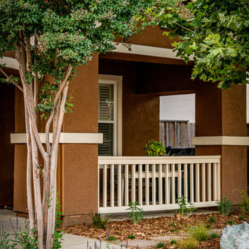 Front Yard Redesign with Drought-Tolerant Plantings