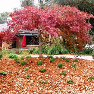 Aménagement d'une allée carrossable avant classique de taille moyenne avec une exposition partiellement ombragée et un paillis.