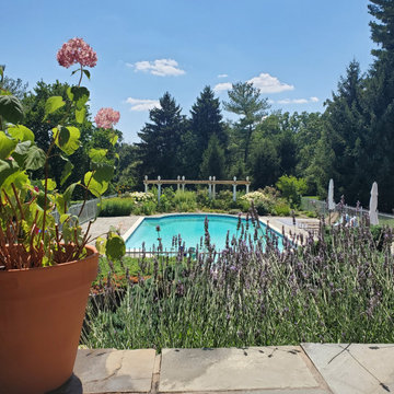 The Immersive Garden