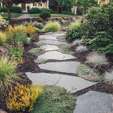 Backyard Redo