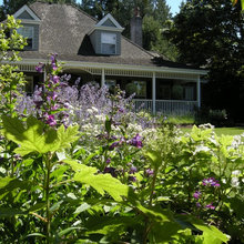 the garden