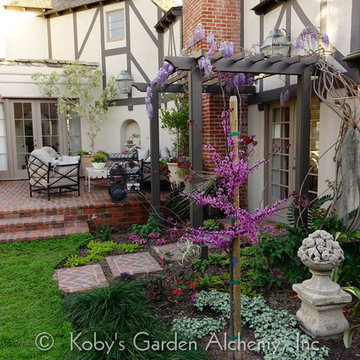 CONATAINER GARDENS BRING LIFE TO PLAIN PAITO, La Jolla, California