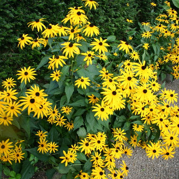 Garten in gelb