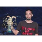 Emad Abdos billede