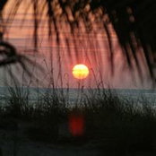 Darlene Jacaruso's photo