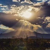 Darla Stoddart's photo