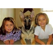 Lisa Overton's photo