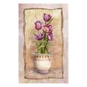JEANNE GARCIA's photo