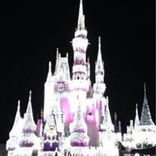 Lara Kauchak's photo