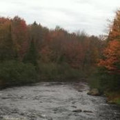 Holly Nolan's photo