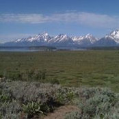 Amy Breaden's photo
