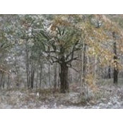 Cindy Cutter's photo