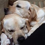 Leslie Lackman's photo