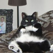 Martha Shields's photo