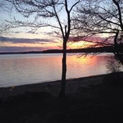 Tricia Woolard's photo