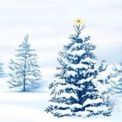 Jennifer McLellan's photo