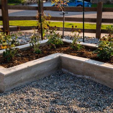 Modern Low-Maintenance Garden