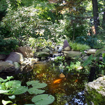 Sensational Shade Gardens