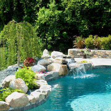 Contemporary Freeform Gunite Pool with Raised Spa and Water Features
