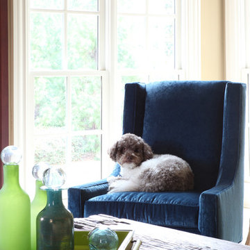 Family room for the family pet