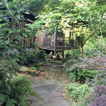 Elder Mountain Woodland Garden