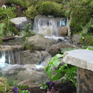 Water Features