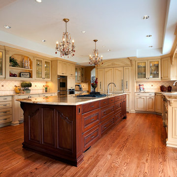 Marymoor Whole House Remodel