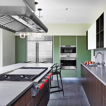 Michigan Modern