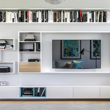 Entertainment Systems & Media Centers