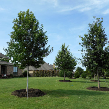 Red Oaks