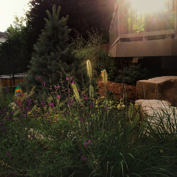 The Rear Garden Terrace In Late Summer