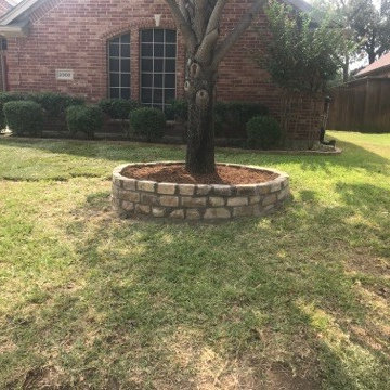 Tree Removal, New Tree Ring Mortared edging