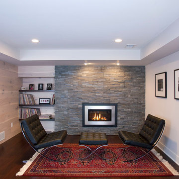 Edina Basement Remodel
