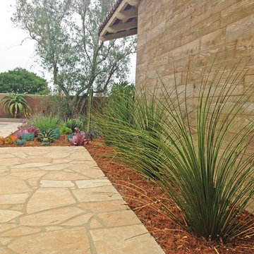 Low Water Landscape, Rancho Santa Fe, CA