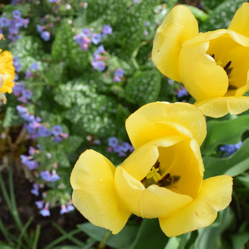 Bristol Garden