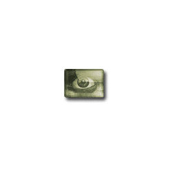 Logo Portfolio - Products