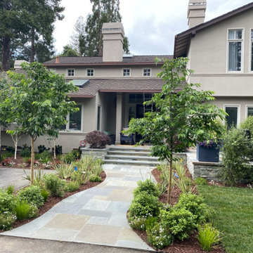 Contemporary front walk