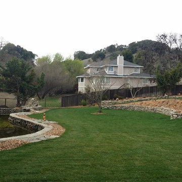 Landscape Design & Installation