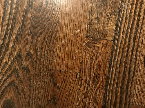 Newly Finished Hardwood Floors, Hardwood Floor Scratches Easily