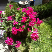 balderas143s foto