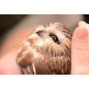 Sheila Bargo's photo