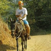 Travis Harts billede