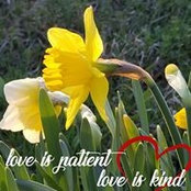 Eileen Buccola's photo
