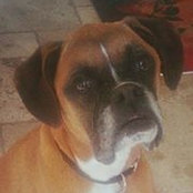 Debbie Allred's photo