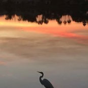Jan Macey's photo
