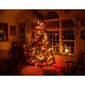 Kimberly Passet's photo