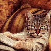 Dany Lechat's photo