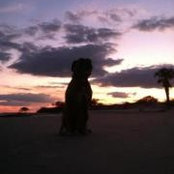 Leigh McChesney's photo